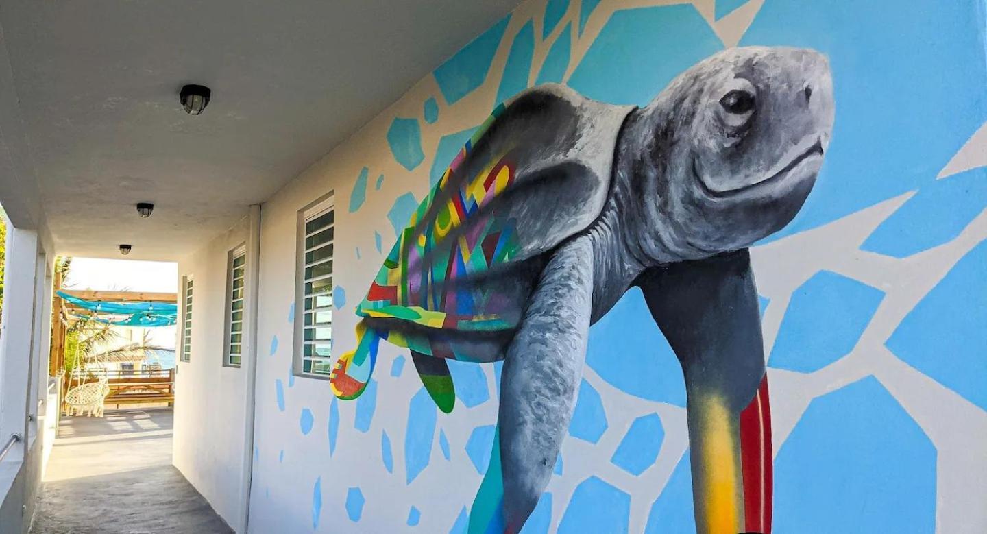 Отель The Surfing Turtle Лукильо Экстерьер фото